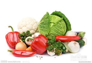 養(yǎng)生食品篇 蔬菜與苗木的健康之道